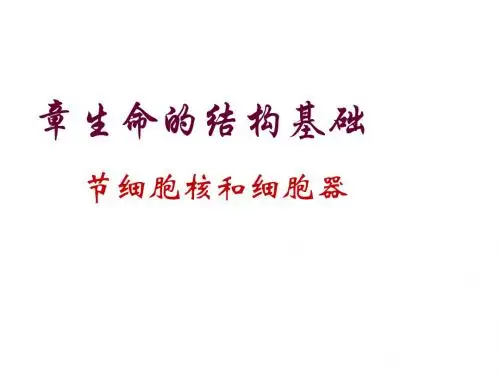 细胞核和细胞器ppt 沪科版
