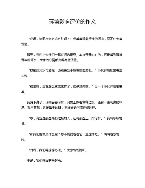 环境影响评价的作文