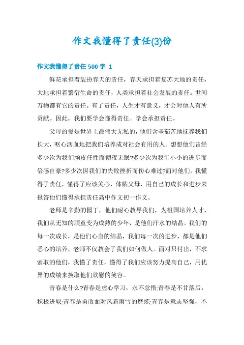 作文我懂得了责任份