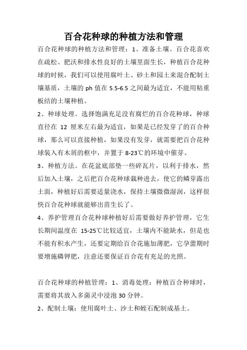 百合花种球的种植方法和管理
