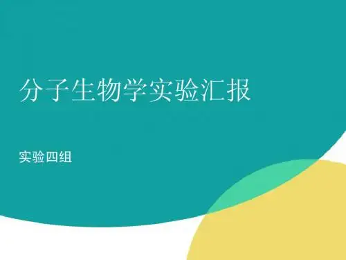 原核表达分析