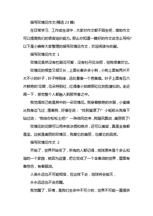 描写玫瑰花作文(精选23篇)