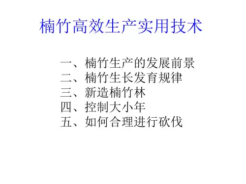 楠竹