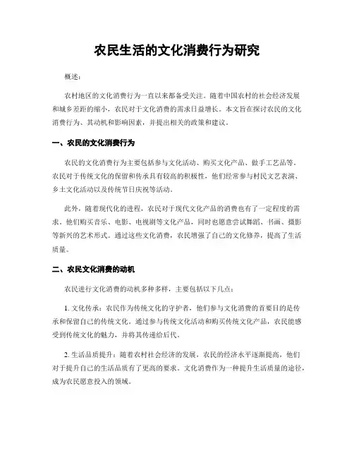 农民生活的文化消费行为研究