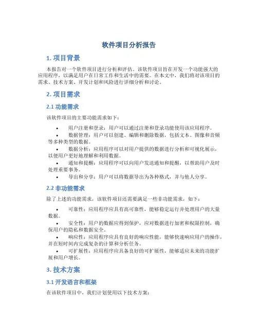 软件项目分析报告