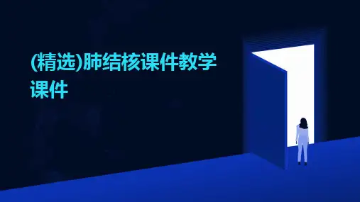 2024版(精选)肺结核课件教学课件