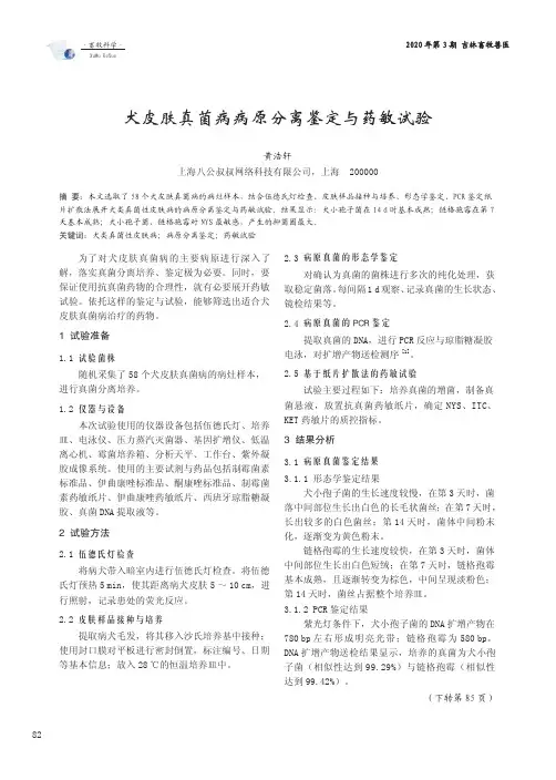 犬皮肤真菌病病原分离鉴定与药敏试验