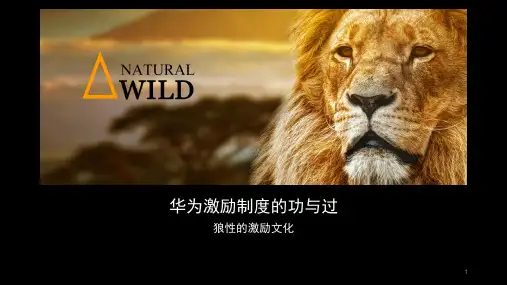 华为激励制度的功与过ppt课件
