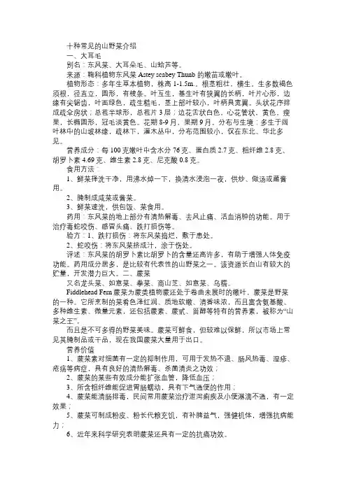 十种常见的山野菜介绍