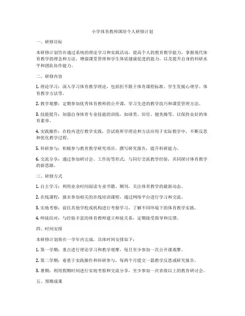 小学体育教师国培个人研修计划