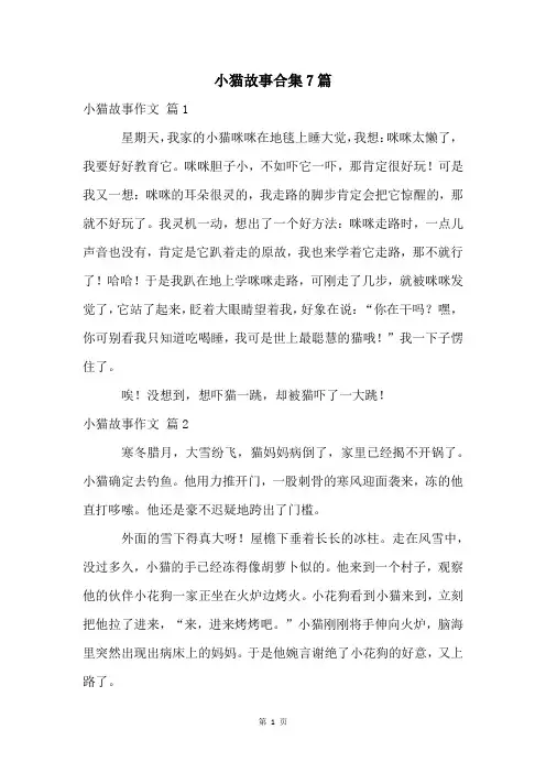 小猫故事合集7篇