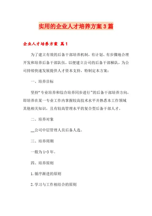 实用的企业人才培养方案3篇