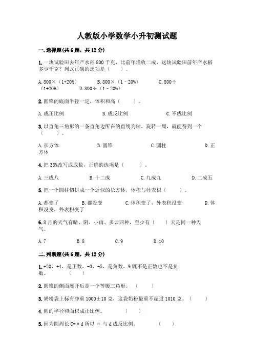 小学数学小升初测试题附完整答案【精选题】附完整答案(必刷)