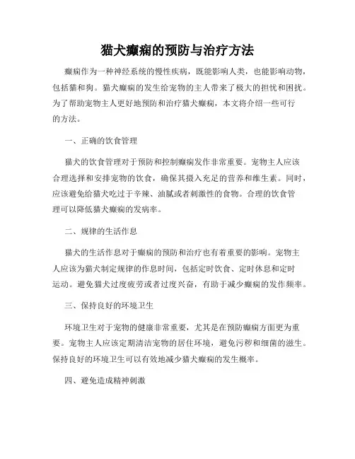 猫犬癫痫的预防与治疗方法