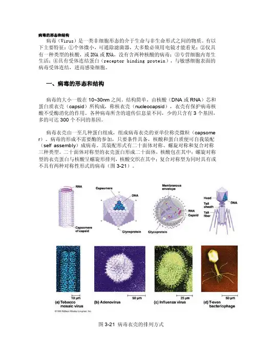 病毒的形态和结构