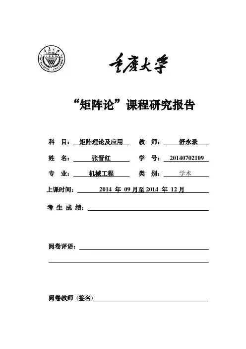 矩阵论大论文(张晋红)