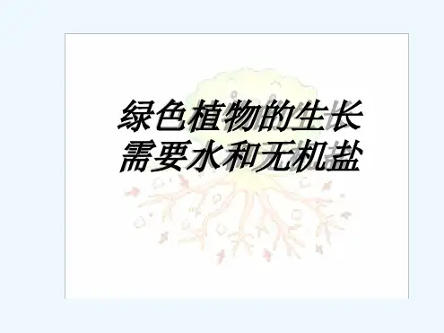 无土栽培PPT课件.ppt