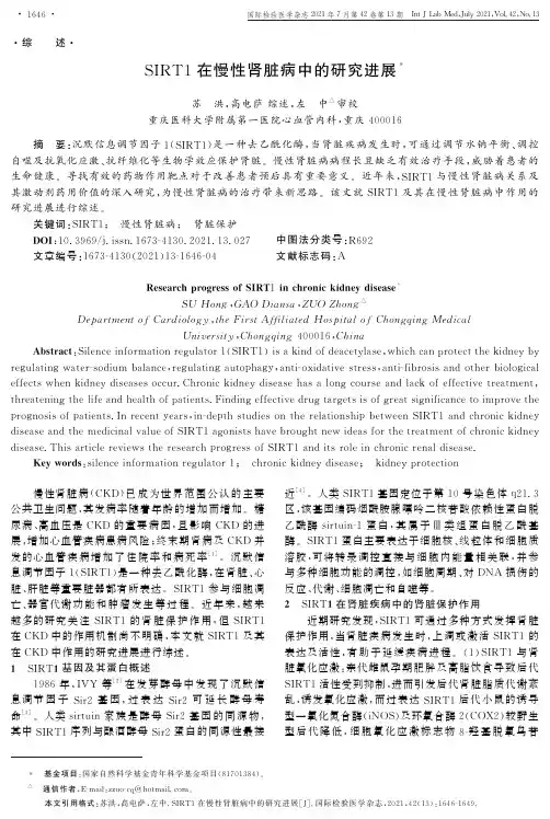 SIRT1在慢性肾脏病中的研究进展