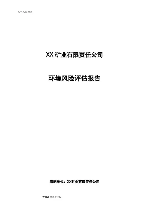 某矿业有限责任公司突发环境事件风险评估报告书