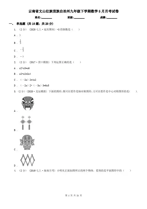 云南省文山壮族苗族自治州九年级下学期数学5月月考试卷