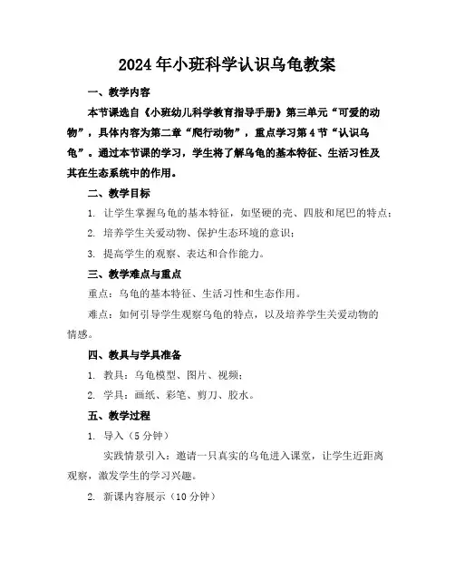 2024年小班科学认识乌龟教案