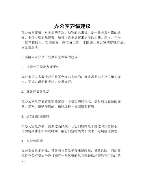 办公室养猫建议