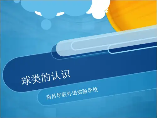 球类的认识