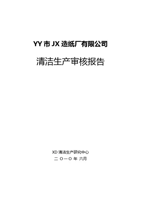 2020年(清洁生产)某造纸厂清洁生产审核报告