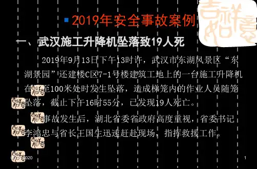 2019年安全事故案例66页