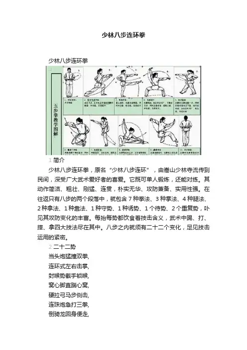 少林八步连环拳