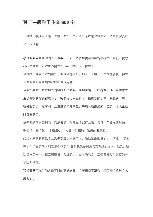 种下一颗种子作文600字