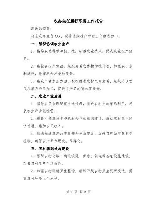 农办主任履行职责工作报告