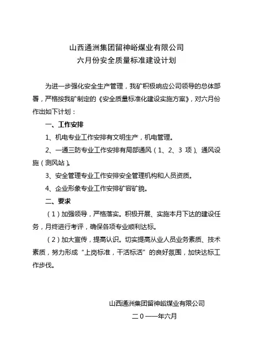安全质量标准化达标规划