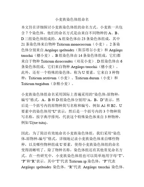 小麦族染色体组命名