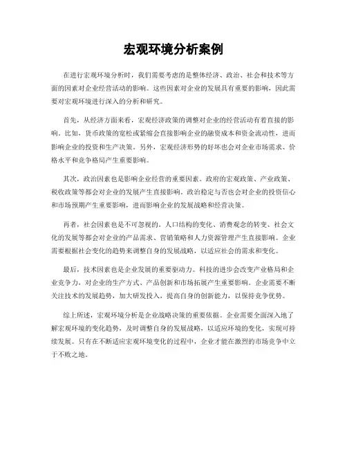 宏观环境分析案例