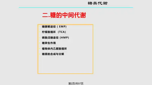糖酵解柠檬酸循环