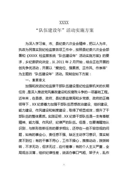 “队伍建设年”活动实施方案