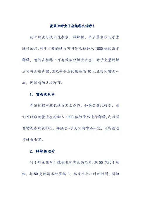 花朵长蚜虫了应该怎么治疗
