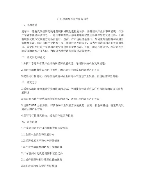 广东惠州写可行性研究报告