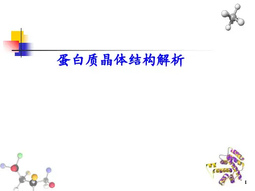 蛋白质晶体结构解析 ppt课件