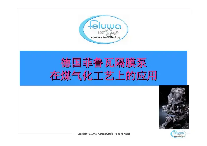 菲鲁瓦中文简介