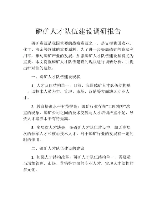 磷矿人才队伍建设调研报告