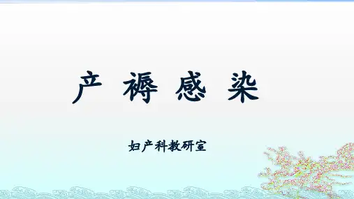 【2024版】产褥感染