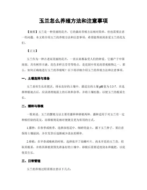 玉兰怎么养殖方法和注意事项