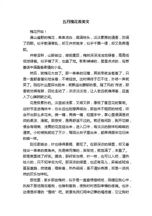 五月槐花香美文