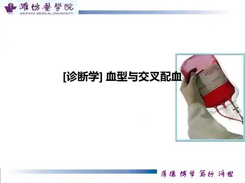 [诊断学]血型与交叉配血