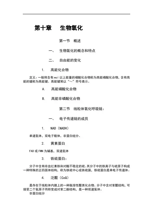 课件-生化纲要