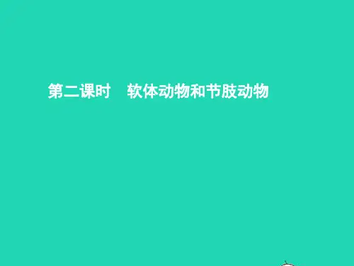 七年级生物上册 2.2.1 无脊椎动物的主要类群(第2课时 软体动物和节肢动物)课件 (新版)济南版