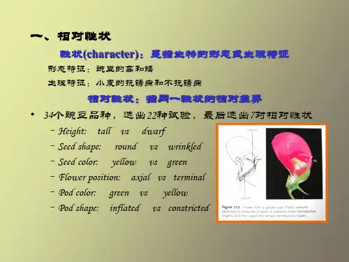 课件遗传学第二章-孟德尔遗传定律.ppt