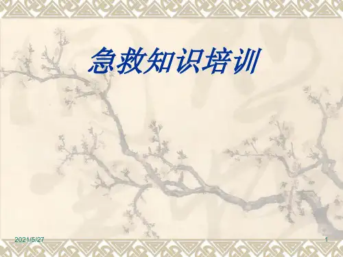 急救知识培训 